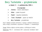 Chełmno i&nbsp;Bory Tucholskie – wycieczka turystyczna