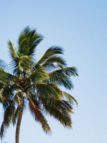 luisa-denu-JHWJYd-PPD0-unsplash