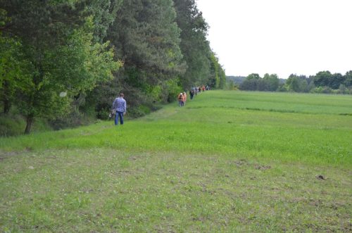 DSC 2659