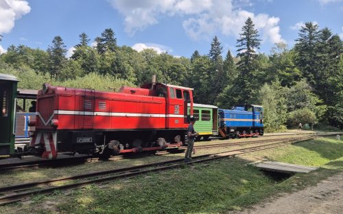 z39